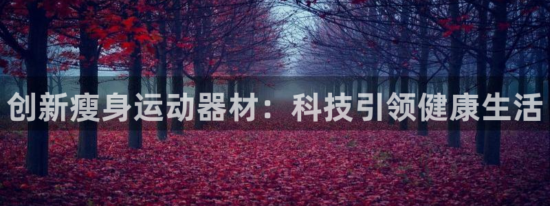 海南哈哈体育：创新瘦身运动器材：科技引领健康生活