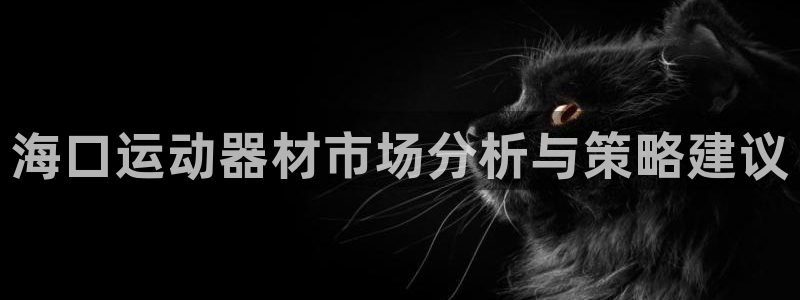 哈哈体育平台注册：海口运动器材市场分析与策略建议