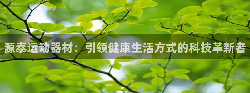 德国哈哈体育集团：源泰运动器材：引领健康生活方式的科技革新者