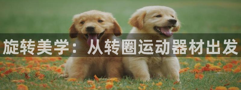 哈哈体育平台是正规平台吗知乎